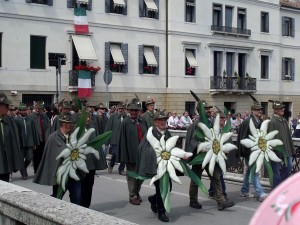 13/14/15 maggio 90^  Adu. Naz. Treviso        